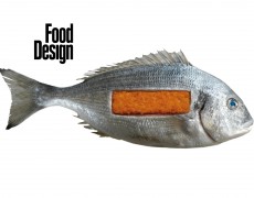 Food Design with Martin Hablesreiter