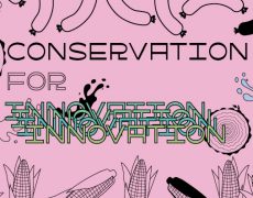 Conservation for Innovation II