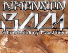 Dimension 3001 – Stretching Fashion